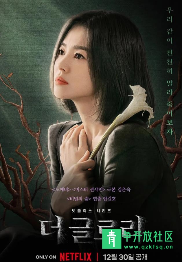 图片[1]-黑暗荣耀 韩语中字 高清1080p-青争开放社区