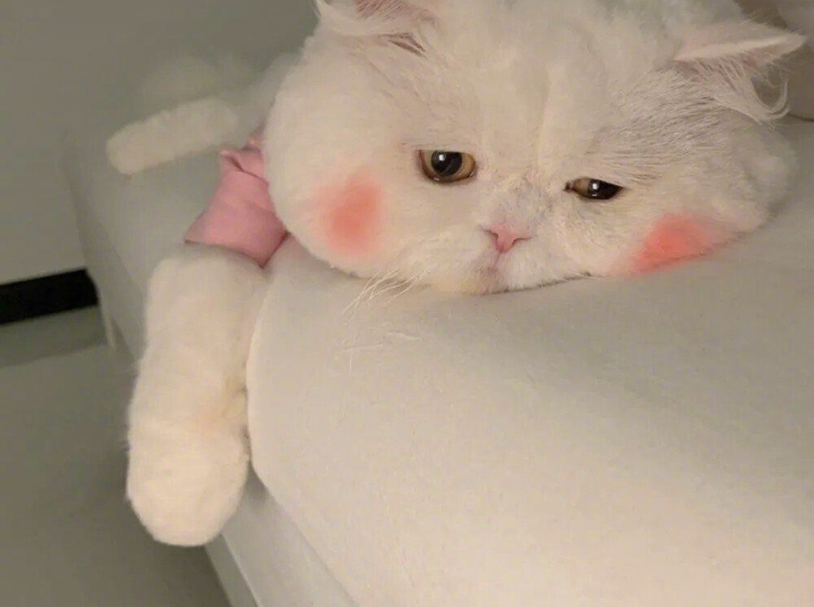 用户封面