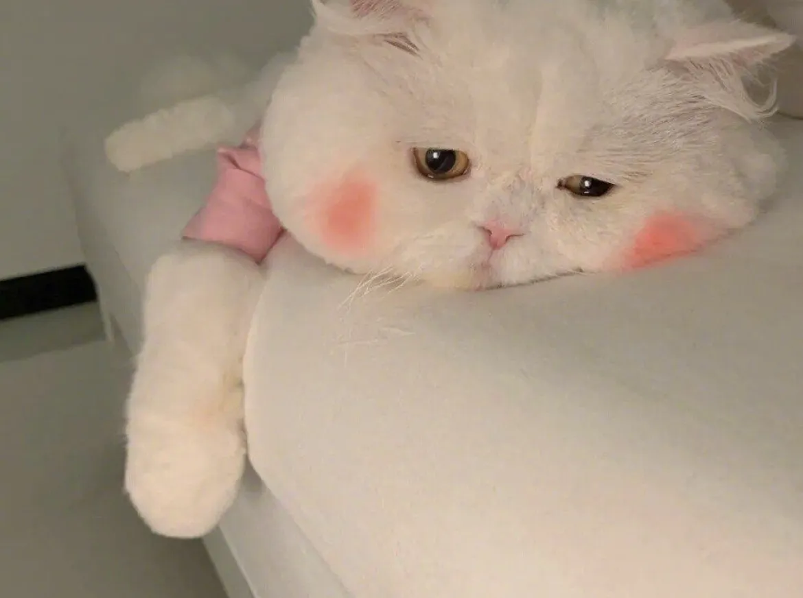 用户封面